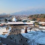 마사회 서울 경마장 겨울 풍경 사진