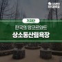 한국의 앙코르와트 상소동산림욕장으로 놀러 오세요!