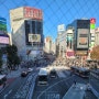 일본 여행 시부야 스크램블 교차로 하치코 동상 록시땅 카페