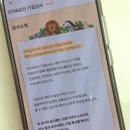 STS 6요인 기질검사 18개월 아기 결과 보고 눈물 쏟은 후기