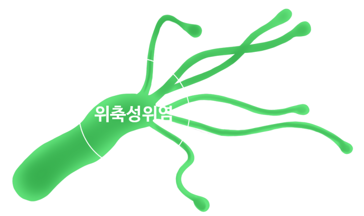 위축성위염 원인과 증상 : 네이버 블로그