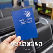 부산 긴급여권 발급, 우당탕탕 강서구청 방문한 후기