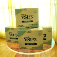 VSL #3 프로바이오틱스 100억 유산균 후기
