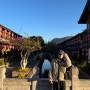 [중국/운남성] 10년 묵은 버킷리스트, 리장고성에서의 첫 날
