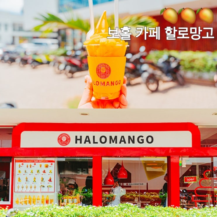 필리핀 보홀 카페 알로나비치 근처 할로망고 망고홀릭 강추! : 네이버 블로그