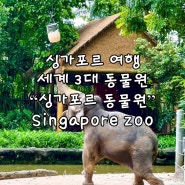 세계 3대 동물원 싱가포르 동물원 입장료 예매 상세 안내