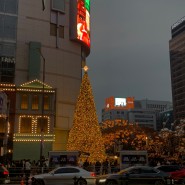 서울의 겨울