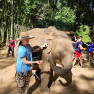 태국 치앙마이 코끼리투어 :: 클룩 코처 에코 파크 투어 예약 준비물