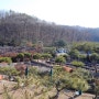 (세종 가볼만한곳) 전통 옹기와 장독대, 뒤웅박고을테마공원!