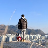 서울근교 강아지동반 산 어디? 백련산근린공원 백련산