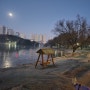 [일산] 밤이 조금씩 짧아지는 일산 호수공원
