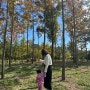 부산 아이랑 가볼만한 곳 | 해운대 수목원