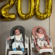 쌍둥이 육아일기 : 6개월 일상