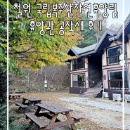 철원 국립복주산자연휴양림 휴양관 공작새 후기
