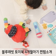 신생아부터 4개월아기 장난감 사운드북 초점책 다 있는 아기전집추천