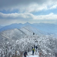 충북 영동 민주지산 최단코스 민주지산자연휴양림 출발코스