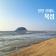 인천 선재도 여행 가볼만한 곳 바닷길이 열리는 목섬 물때 주차