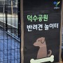 [덕수공원 반려견 놀이터] 1-2월 휴장 안내 (feat. 삼송 강아지운동장)
