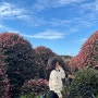 제주도-2-1 동백꽃 수목원 • 다정이김밥 • 소천지