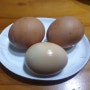 2024.1.28. 오늘 간식---맥반석 계란(찜질방 계란)