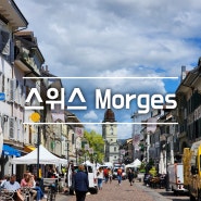스위스 모르쥬 (morges) 중심가 아름다운 몽트뢰 근교 도시 여행