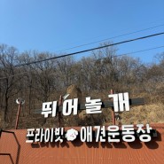 프라이빗 양평애견운동장 [뛰어놀개] 방문 리뷰