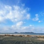 [태안] 오션뷰 캠핑장 노을숲 캠핑장 - 낙조가 멋진 해변 데크 사이트