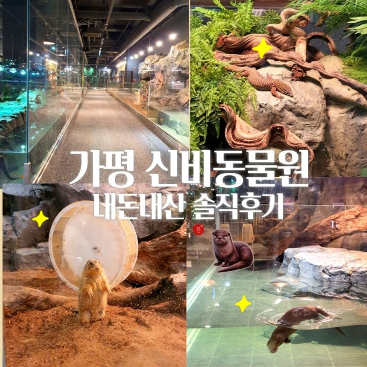 가평 신비동물원 실내동물원 내돈내산 솔직후기