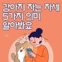 강아지 자는 자세 5가지 의미 알아봐요