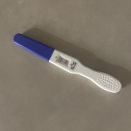 임신 기록 1. 5주 차 (임테기 두 줄, 수원 산부인과 쉬즈메디병원, 임신 확인, 아기집)