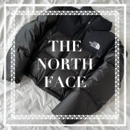 [review] THE NORTH FACE 노스페이스 에코 다운 숏 눕시 패딩