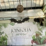 파주 운정 조인폴리아 식충식물 (파리지옥, 끈끈이주걱, 네펜데스, 퍼포리아) 구매 후기