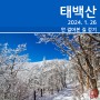 [등산] 태백산 눈꽃 산행(2024. 1. 26)