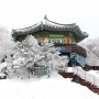 눈 덮인 제주 드라이브 코스 1100도로 1100고지 대한민국에서 가장 높은 곳에 있는 편의점 GS25