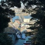 일본 도쿄 여행 : 가마쿠라 슬램덩크, 에노시마 시라스동 | DAY 5