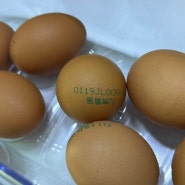 돌 전 아기 계란 달걀 몇개 섭취량 및 섭취시기