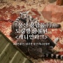 울산 성남동 캐니언파크 | 어른이 동물원 추천 리뷰