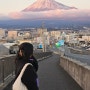 [1월 일본여행] 일본 시즈오카 겨울 뚜벅이 5일차 (24년 1월 14일 일요일)