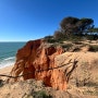 [Life in Algarve] 알부페이라 바다 어디까지 가봤니 1- Praia da Falésia 걷기 좋은 팔레지아 해변