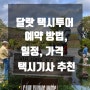 달랏 택시투어 예약, 여행 일정, 비용 - 랑비앙 산, 다딴라 폭포, 클레이 터널, 메린 커피농장