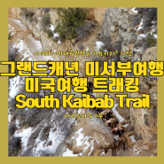 그랜드캐년 미국 여행 미서부 여행 미대륙 횡단 12편 트래킹 South Kaibab Trail