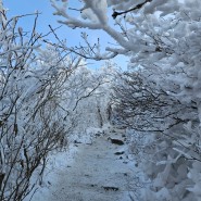 무등산 서석대 최단코스& 눈꽃여행,주상절리대의 매력