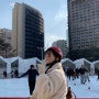서울에서 겨울즐기기, 서울광장스케이트장, 시간표, 금액