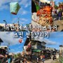 대만여행 예스폭지버스투어 스펀 천등날리기, 닭날개볶음밥, 땅콩아이스크림 후기!!
