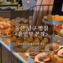 울산 남구 빵집 - 윤연당 본점 : 울산 빵맛집 빵지순례 ㄱㄱ
