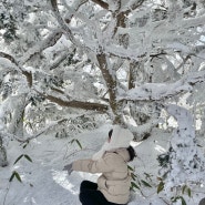 겨울 설산여행 덕유산 날씨 확인하기 (+설천봉 CCTV) / 향적봉 평일방문 웨이팅 후기