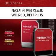 NAS서버 전용 디스크: WD RED vs WD RED PLUS