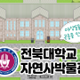 [ZEP] 전북대학교 자연사박물관 메타버스 스페이스 구축1 - 전북 메타버스 ZEP 공식튜터 김형미
