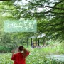 전주수목원 다녀오기좋은곳 한국도로공사 정원 아름다운 곳 가족나들이 추천