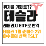 떨어지는 테슬라 주가, 레버리지 ETF로 대응 : TSLL TSLT